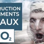 <strong>Destruction D’Éléments Vitaux CO2</strong>
