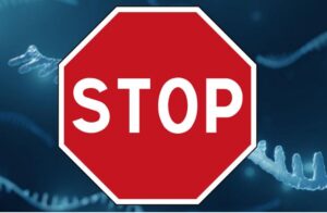 Lire la suite à propos de l’article Plus de 2000 scientifiques réclament un moratoire sur les vaccins à ARNm – BAM! NEWS