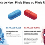 Choix de vie